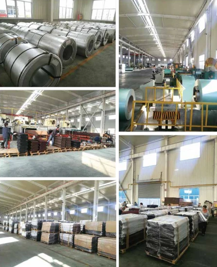 product-446-548